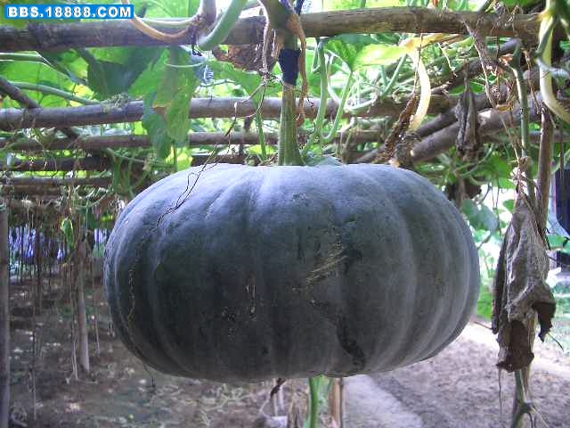 CIMG9128.JPG