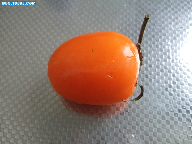 images012.jpg