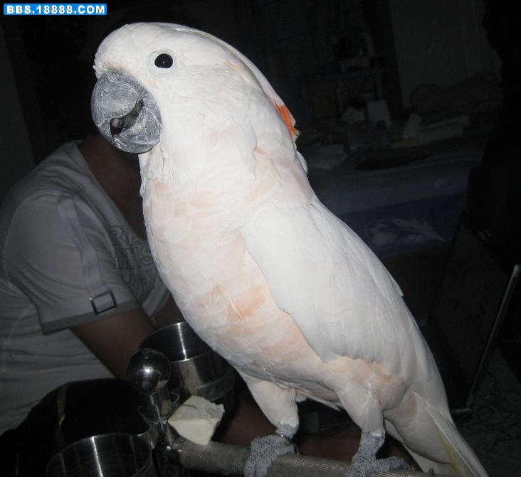 19.jpg