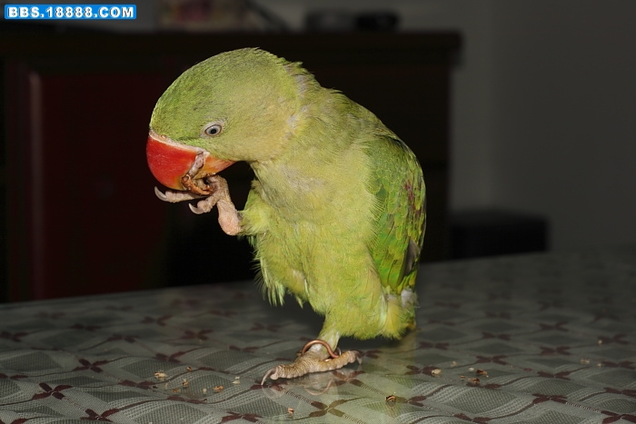 20100717_0890.JPG