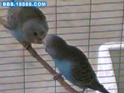 20070124(053).jpg