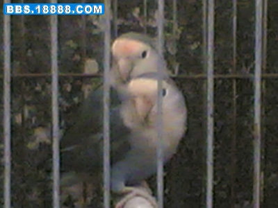 20070124(001).jpg