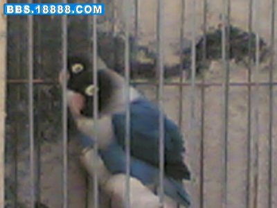 20070124(003).jpg