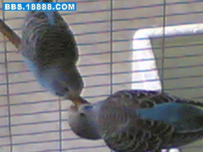 20070124(055).jpg