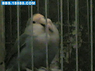 20070124(028).jpg