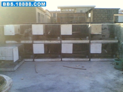 20070123(029).jpg