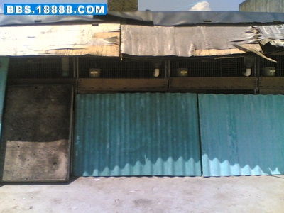 20070807(014).jpg