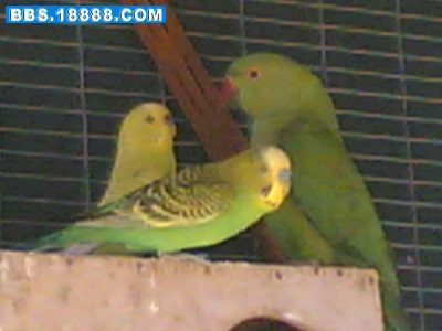20061228(030).jpg