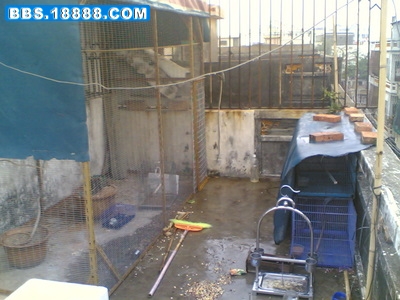 20070103.jpg