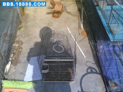 20070105(009).jpg