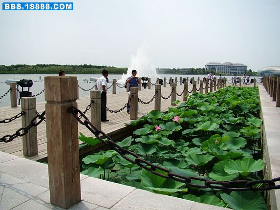 nEO_IMG_DSC02562.jpg