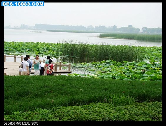 nEO_IMG_DSC02548.jpg