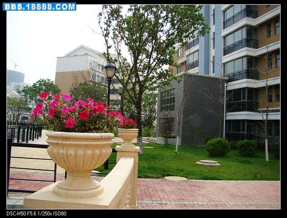 nEO_IMG_DSC02482.jpg