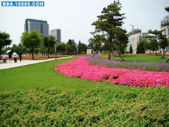 nEO_IMG_DSC02579.jpg