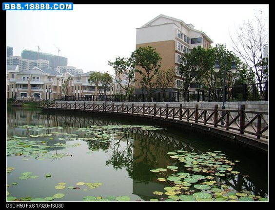 nEO_IMG_DSC02475.jpg