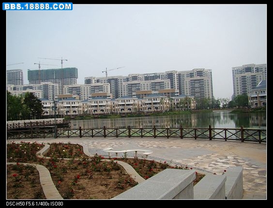 nEO_IMG_DSC02472.jpg
