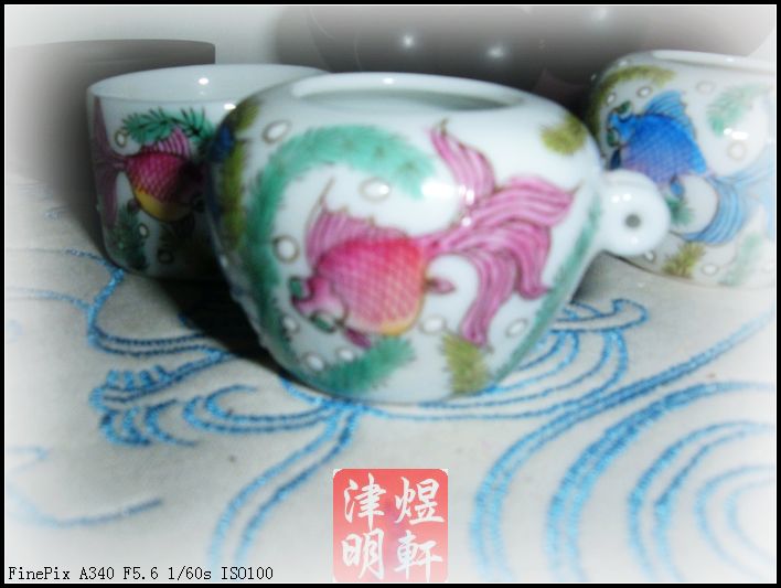 DSCF0017.JPG
