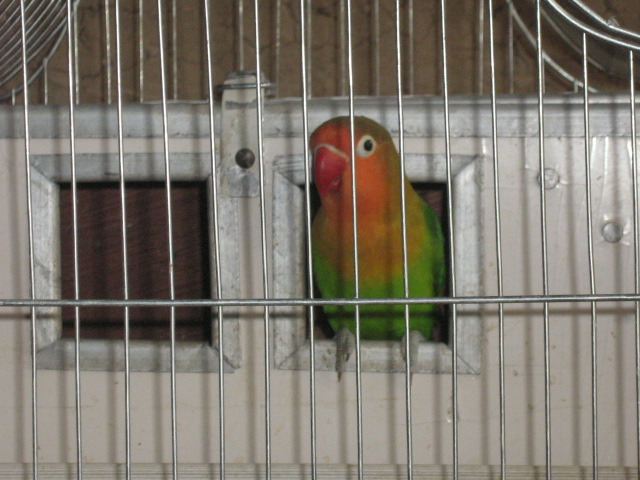 IMG_0242.JPG