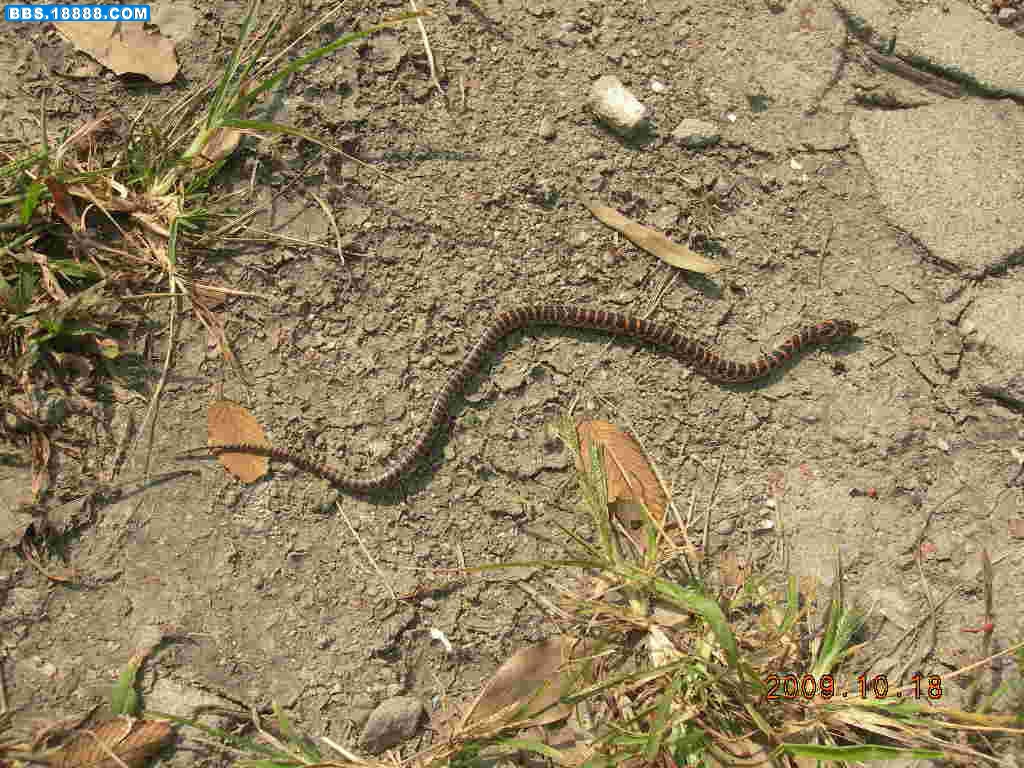 DSCN3915.JPG