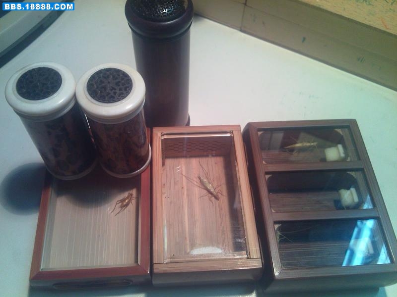 IMG076.jpg