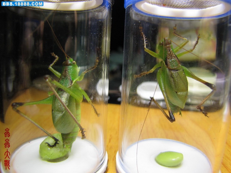 IMG_0414_调整大小_调整大小.JPG