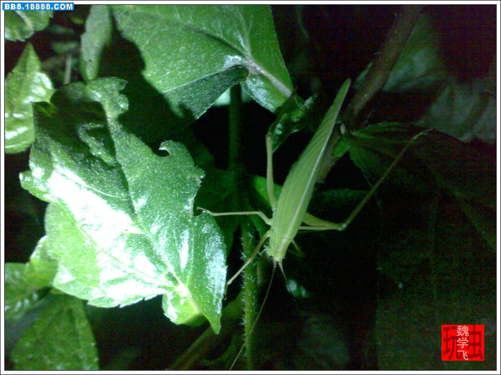 201007101718.jpg