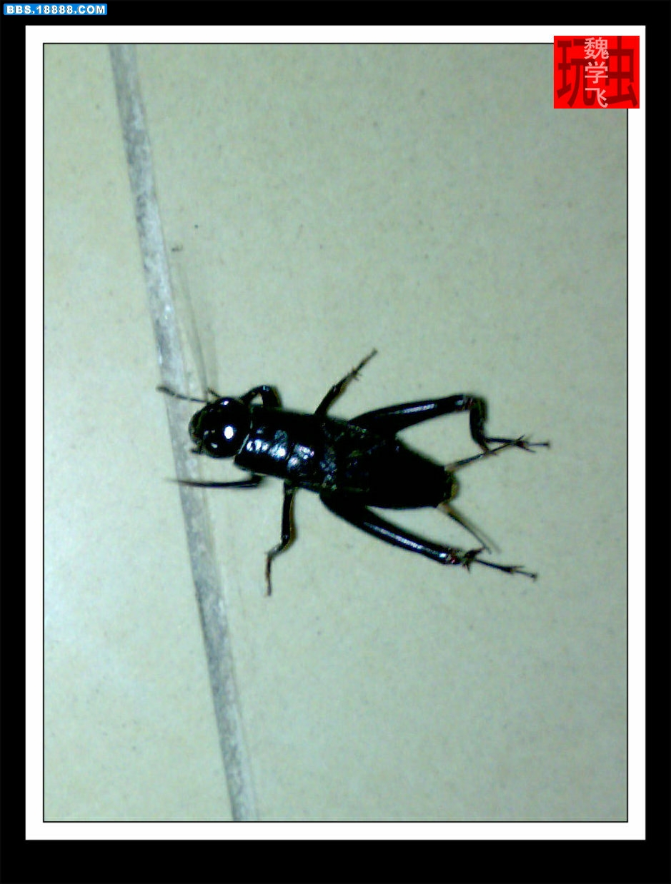 201006291249.jpg