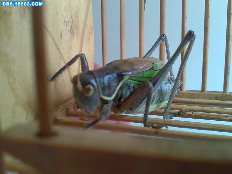 20100724007~.jpg
