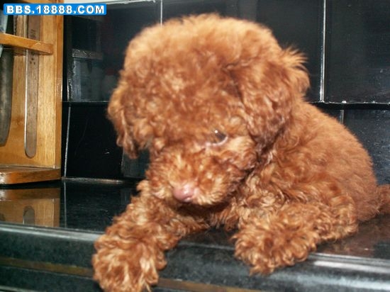 PICT0011.jpg