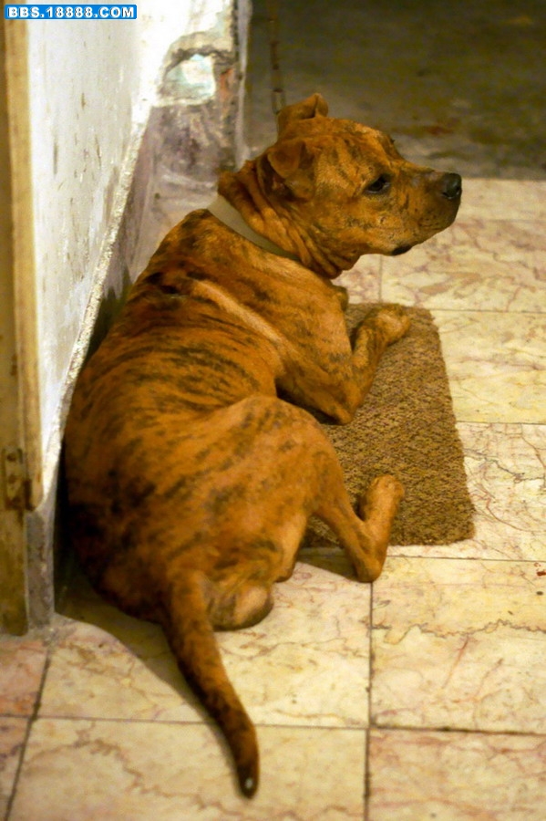 DSC00010.jpg