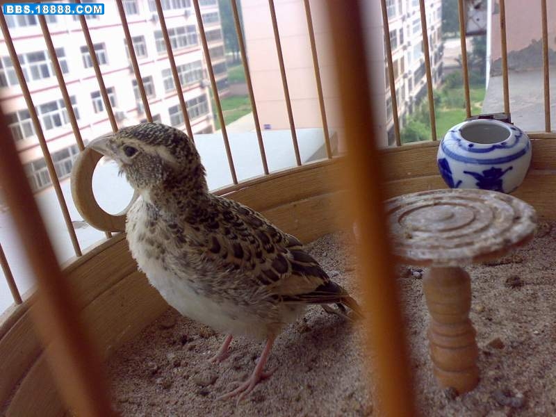 201006254270.jpg