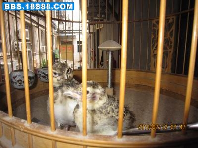 调整大小 照片 032.jpg