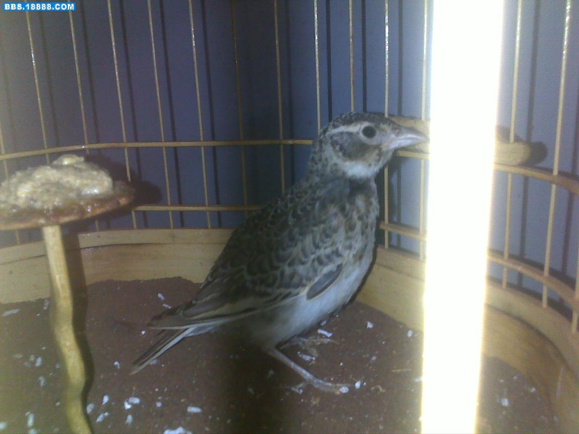 20100710431.jpg