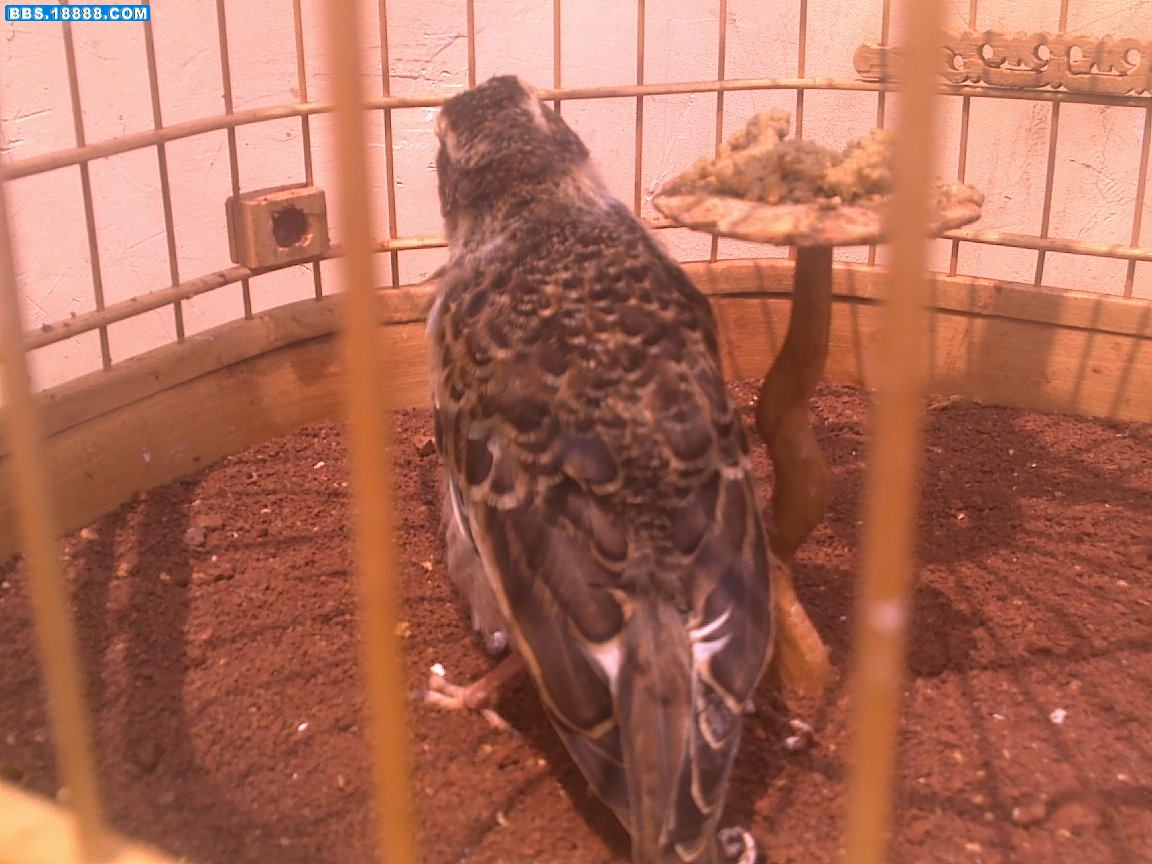 20100708416.jpg