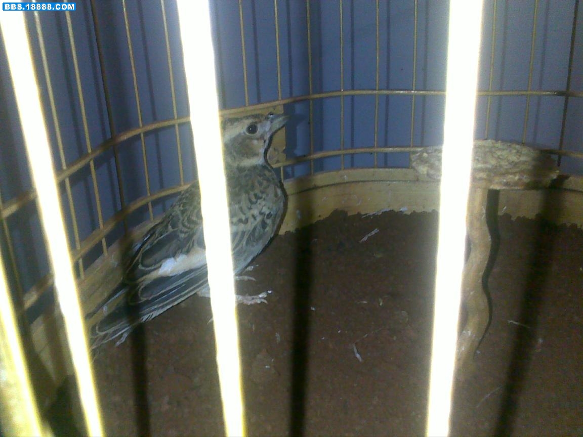 20100707395.jpg