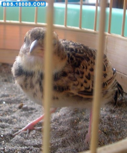 DSCN7924.JPG