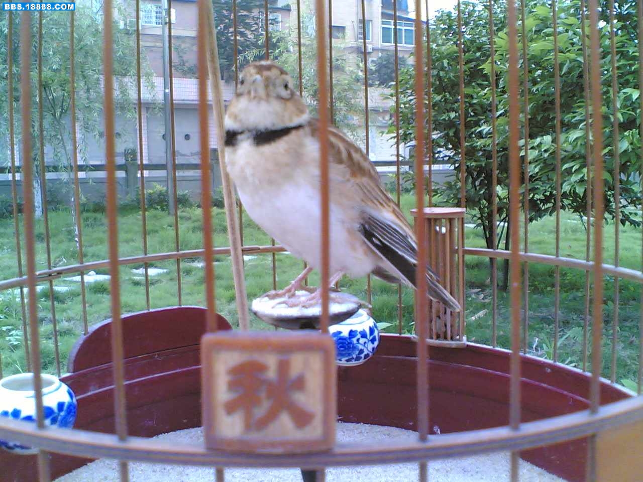 20100616(002).jpg
