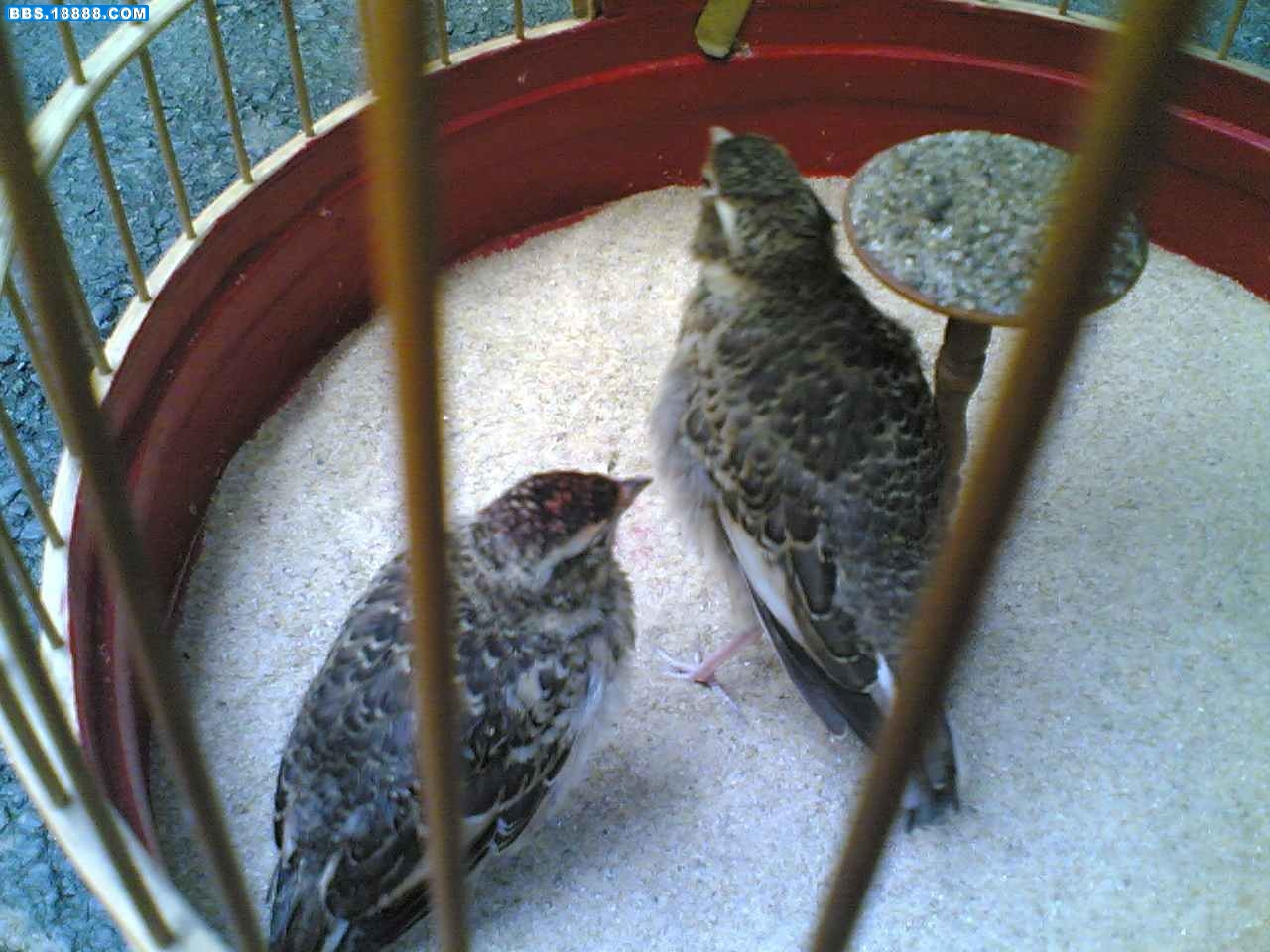 20100630(002).jpg