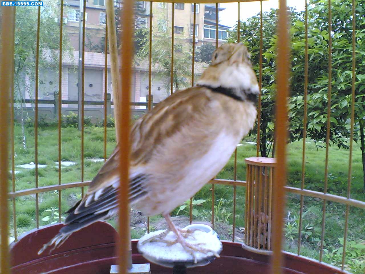 20100616(003).jpg