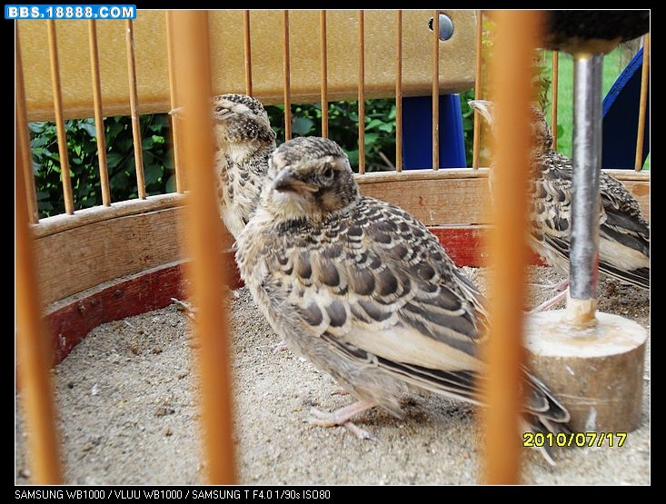 nEO_IMG_SDC11978.jpg