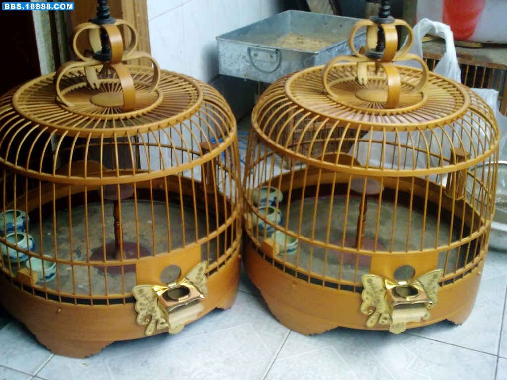 20100703504.jpg