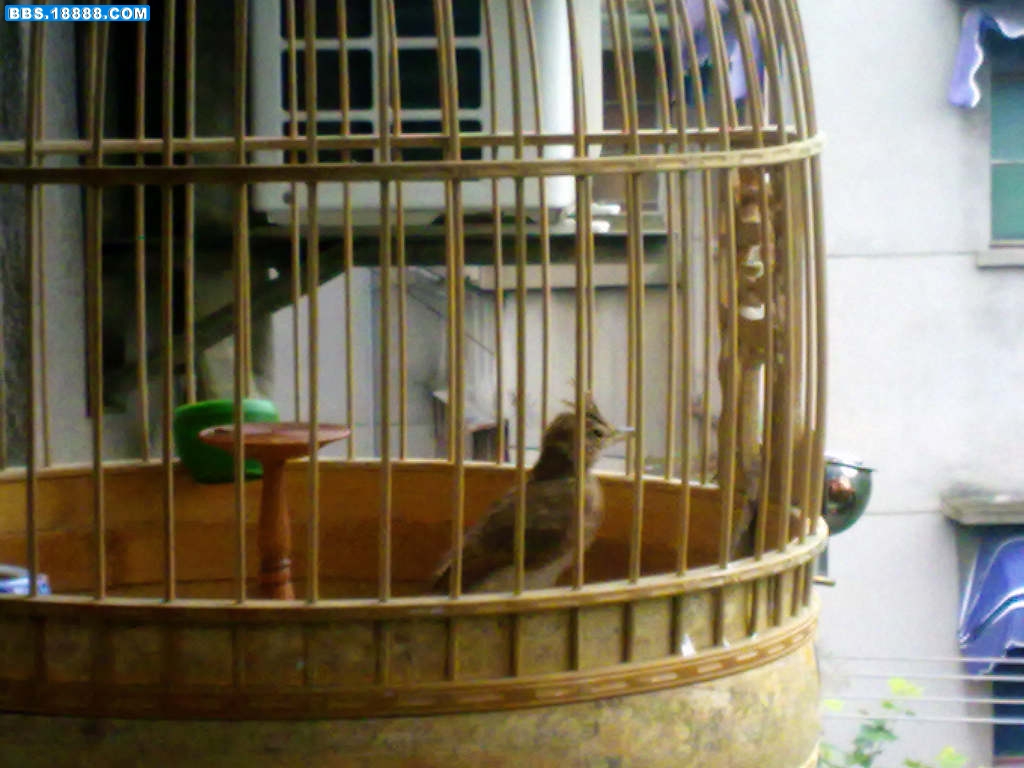 20100718570.jpg