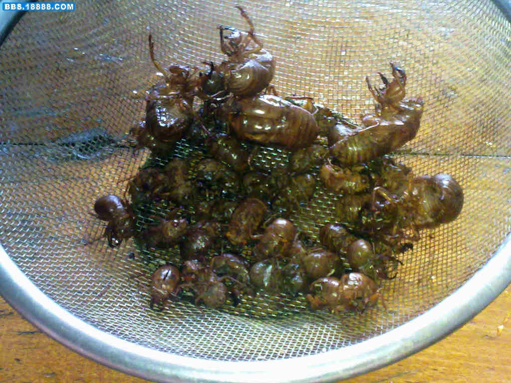20100719572.jpg