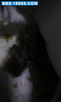 IMG0019A.jpg