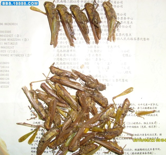 mazha2.jpg