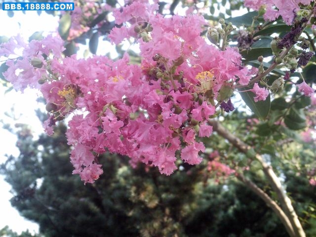 nEO_IMG_PICT1681.jpg