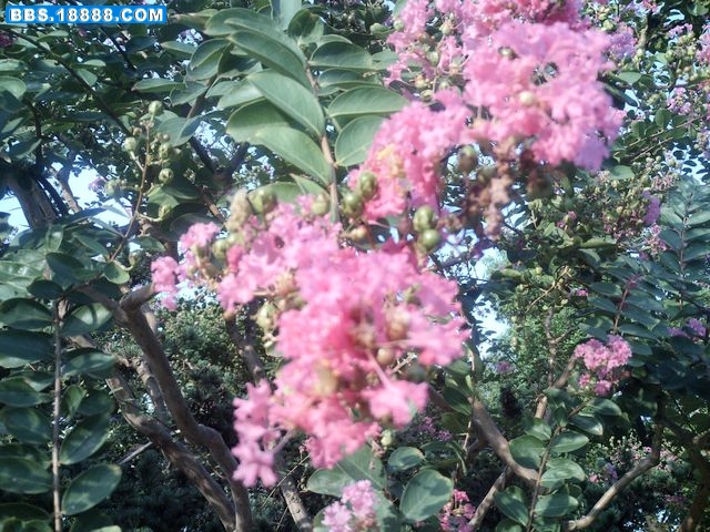 nEO_IMG_PICT1683.jpg