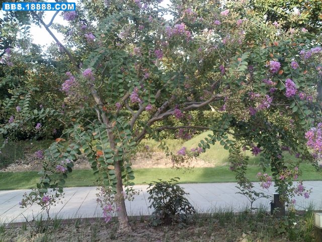 nEO_IMG_PICT1685.jpg