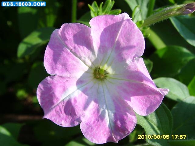SSL26424.jpg