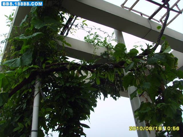 SSL26575.jpg